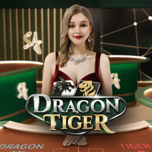 Dragon Tiger D